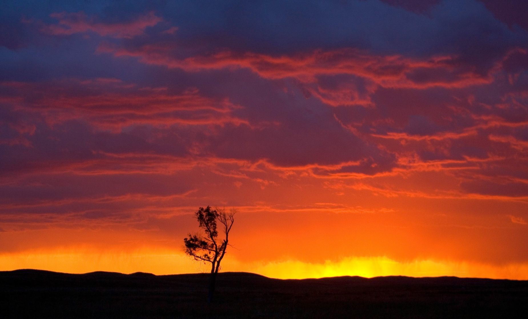 Best of Nebraska